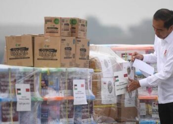 Bantuan kemanusiaan