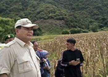 Prabowo Target Swasembada Pangan 4 Tahun