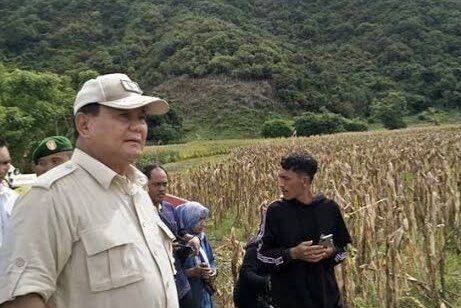 Foto: Prabowo Subianto target Indonesia bisa swasembada komoditas strategis seperti padi, jagung, dan tebu dalam empat tahun kepemimpinannya.