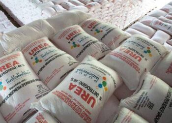 Alokasi Pupuk Subsidi Sumatera Utara Bertambah jadi Segini