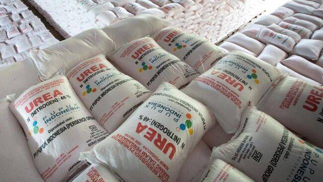 Foto: Pupuk untuk petani.