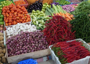 Harga Pangan Hari Ini: Beras, Telur, dan Minyak Goreng Makin Mahal!