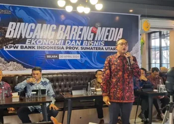 IGP Wira