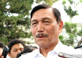 Luhut Pandjaitan Tawarkan Kewarganegaraan Ganda bagi Diaspora