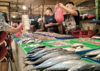 Harga Ikan dan Ayam di Medan Melambung Tinggi