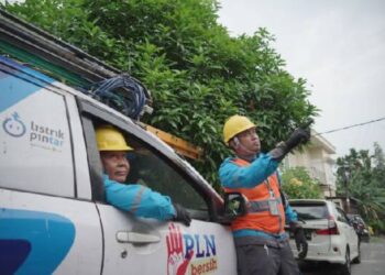 Petugas PLN