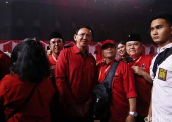 Ahok