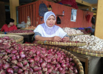 Harga Bawang Merah di Sumut Naik, Tembus Rp 55 Ribu per Kg