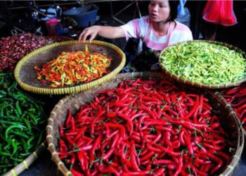 Harga Cabai Merah di Sumut Mahal, Disperindag Buka Suara