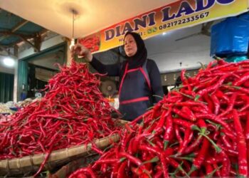 Harga Cabai Merah-Rawit di Sumut Semakin Pedas!