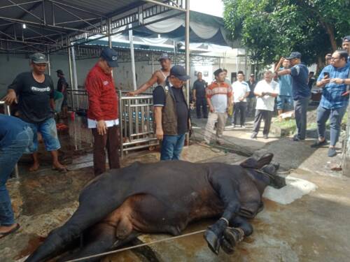 Foto: Kurban Disdik Provsu