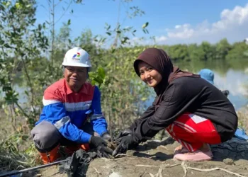 Aksi Tanam Mangrove