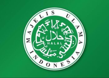 Logo MUI
