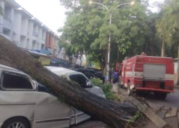 Mobil Tertimpa Pohon di Cemara Asri