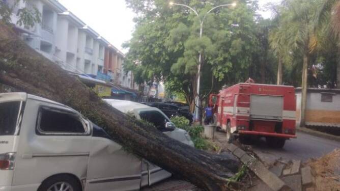 Foto: Pohon tumbang di Komplek Cemara Asri menimpa satu unit mobil saat hujan deras disertai angin kencang.