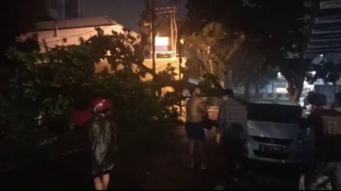 Foto: Mobil yang tertimpa pohon di Medan.