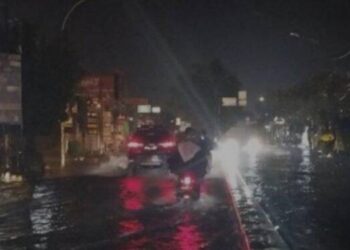 Hujan-Angin di Medan: Jalanan Banjir, Sejumlah Pohon Tumbang