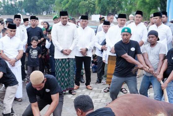 Foto: Penyembelihan kurban