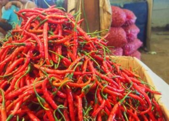 Harga Cabai Merah-Daging Ayam di Medan Turun, Deflasi Membayangi