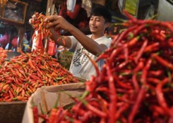 Harga Cabai Merah di Sumut Turun