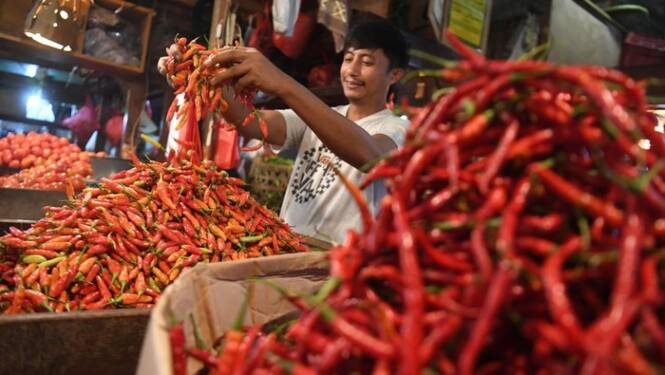 Foto: Penjualan cabai merah.