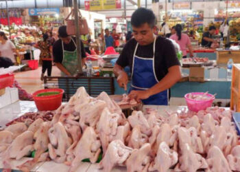 Jelang Idul Adha, Harga Daging Ayam di Sumut Terus Turun