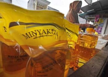 Menteri Ini Usul HET Minyakita Naik Jadi Rp 15.500 per Liter