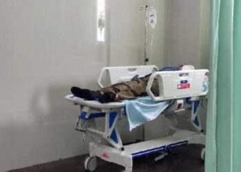 Sapi Ngamuk Tendang Panitia Kurban hingga Muntah Darah