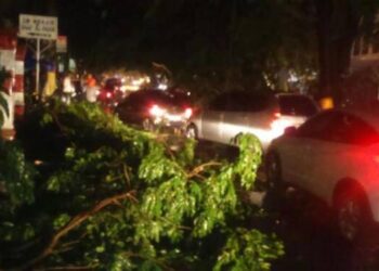 Banjir-Angin Kencang-Pohon Tumbang Melanda Kota Medan