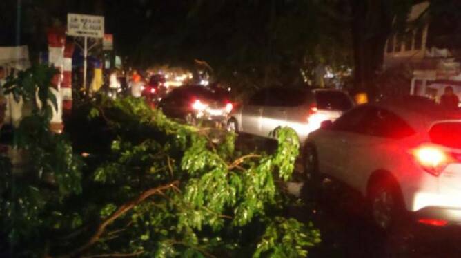 Foto: Banjir dan pohon tumbang di Medan.