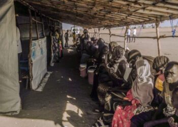 26 Juta Orang di Sudan Alami Kelaparan Akut