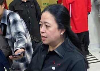 Puan PDIP