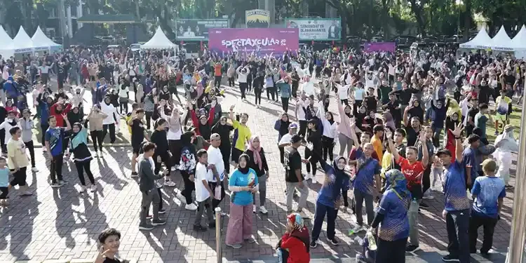 Foto: Spectaxcular 2024
