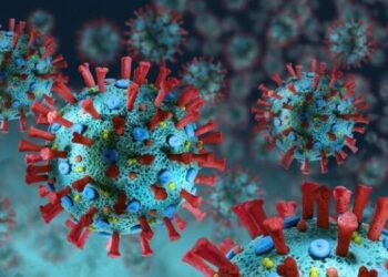 Puluhan Orang di Israel Tewas Diserang Wabah Virus Mematikan