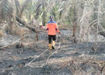 2 Lokasi Lahan Gambut di Asahan Terbakar