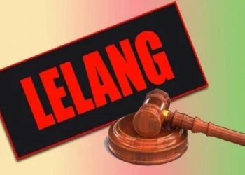 lelang aset wp