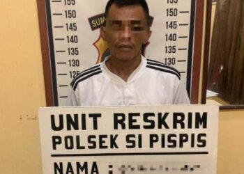 Pelaku Pencurian