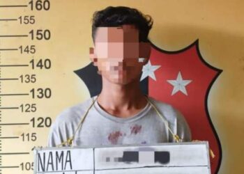 Pelaku Pencurian