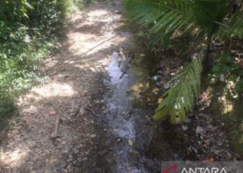 Kemarau, Sungai dan Sumur di Aceh Mulai Kekeringan