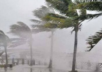 Cuaca Hari Ini: Awas Hujan-Petir dan Angin Kencang di Medan