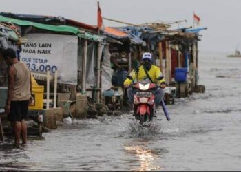 Warga Belawan Waspadai Banjir Rob Sepekan ke Depan!