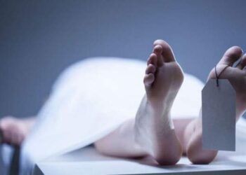 Tragis! Pencuri Sapi di Aceh Besar Tewas Dihajar Warga
