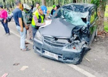Xenia Tabrak NMax di Jalinsum Teluk Mengkudu, Pasutri dan Balitanya Tewas