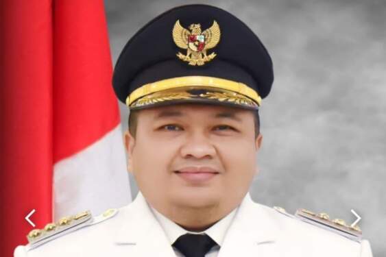 Foto: Bupati Tapanuli Selatan (Tapsel) Dolly Pasaribu.