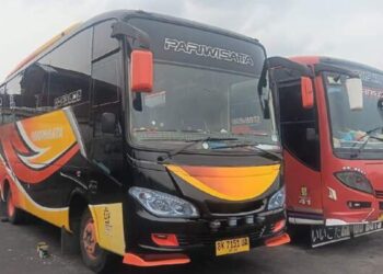 Sukseskan PON, Organda Medan Siapkan 250 Bus Pariwisata