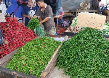 Harga Cabai Rawit dan Telur Ayam di Sumut Naik