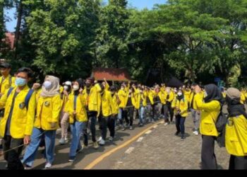 Kawal Putusan MK, BEM UI: Ayo Turun ke Jalan!