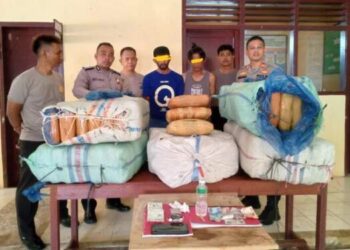 Polsek Batang Natal Gagalkan Pengiriman 5 Karung Ganja ke Sumbar