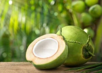 Ternyata Ini Alasan Buah Kelapa Dilarang Masuk ke Pesawat