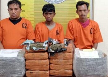 Pengiriman 10 Kg Ganja di Sidimpuan Digagalkan, 3 Pria Ditangkap
